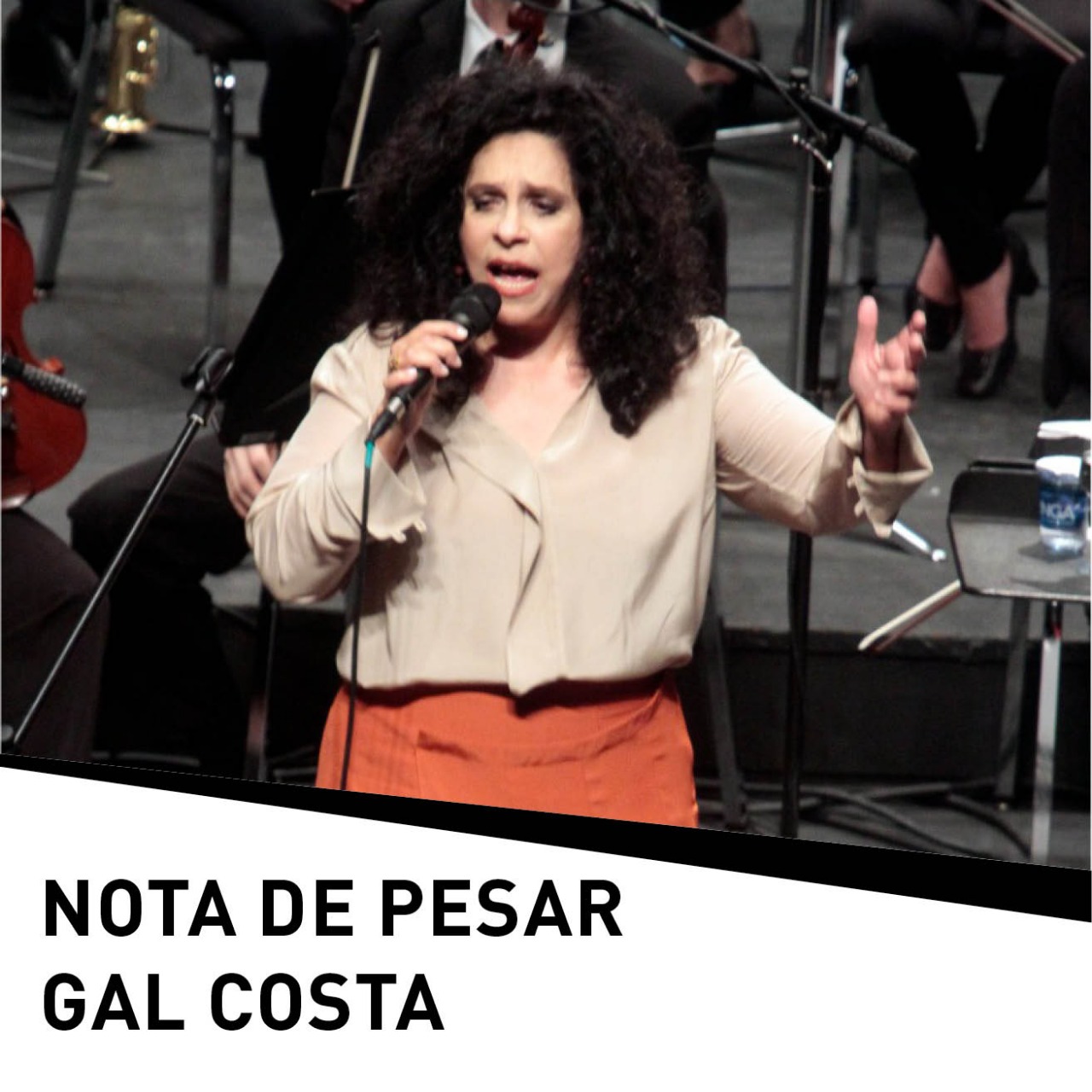 Evento: Nota de Pesar | Gal Costa
